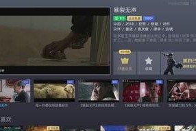 2018国产在线视频,内容创新与市场崛起的年度盘点