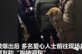 主人调教视频国产,从调教视频看国产崛起之路